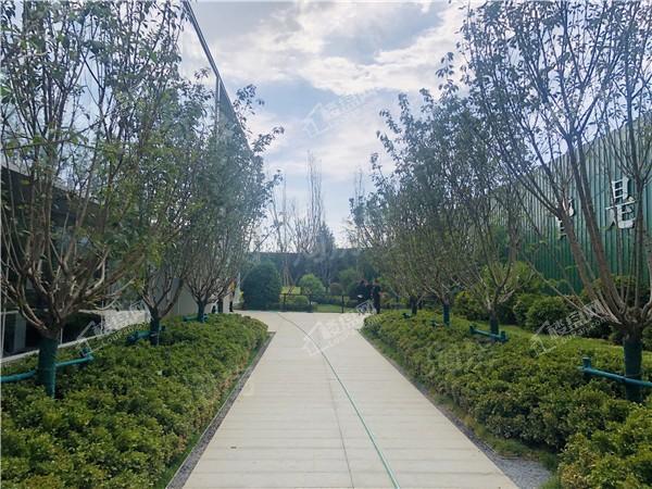 保利和光尘樾实景图