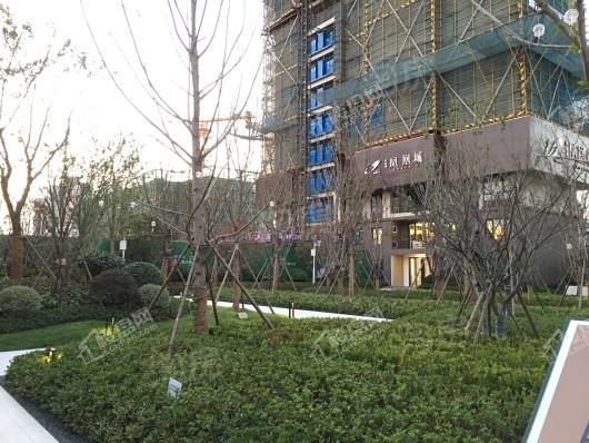 碧桂园凤凰城实景图