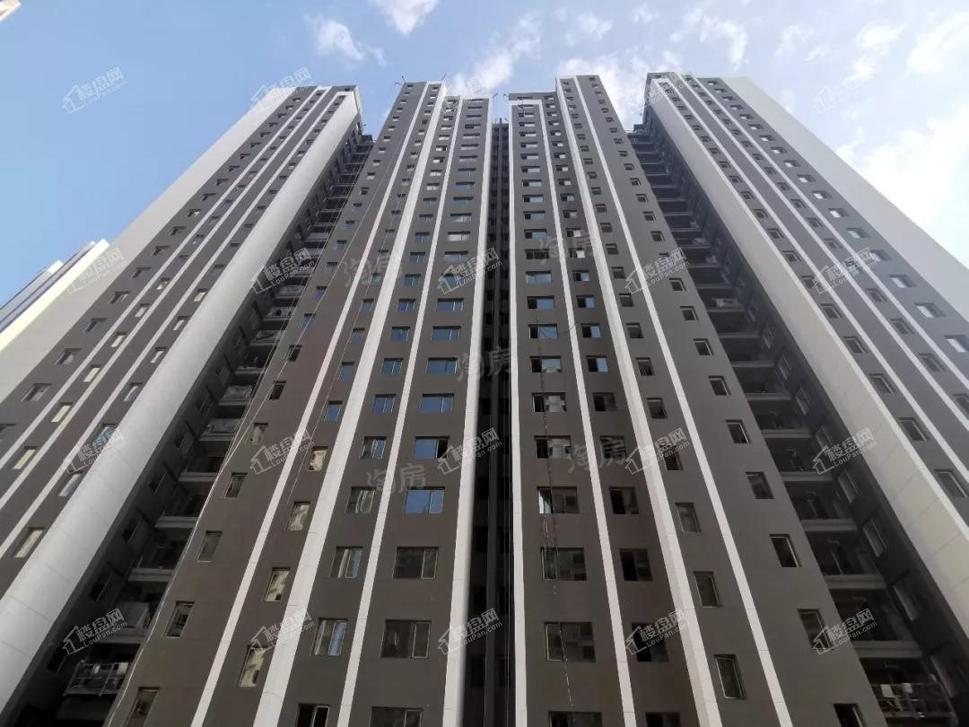 千渡·东山晴实景图