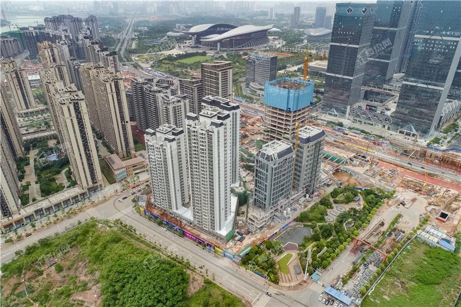 DK国际实景图