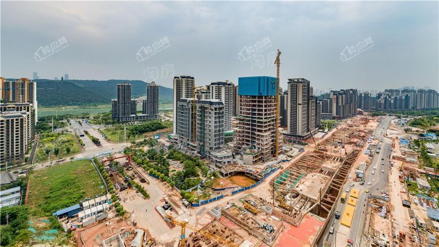 DK国际实景图