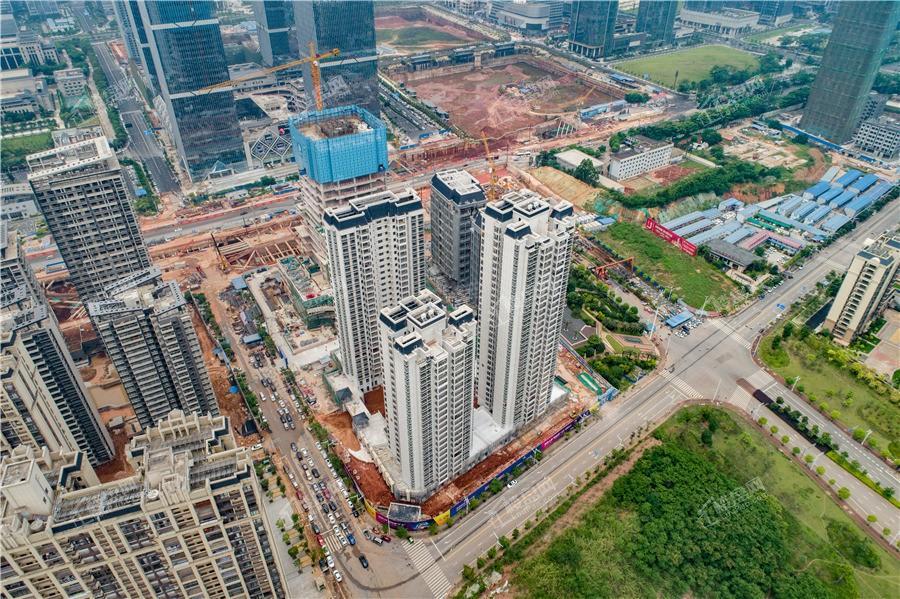 DK国际实景图
