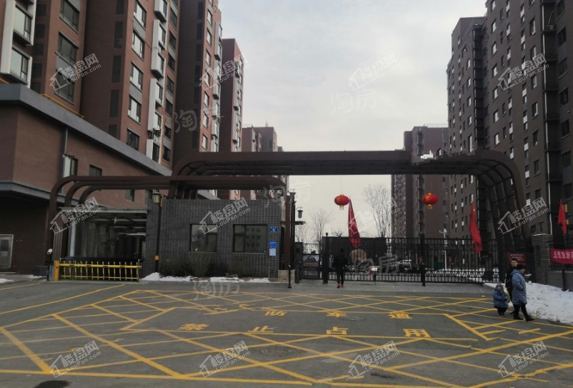 融鼎5号实景图