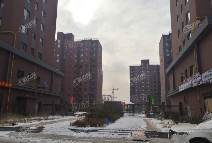 融鼎5号实景图