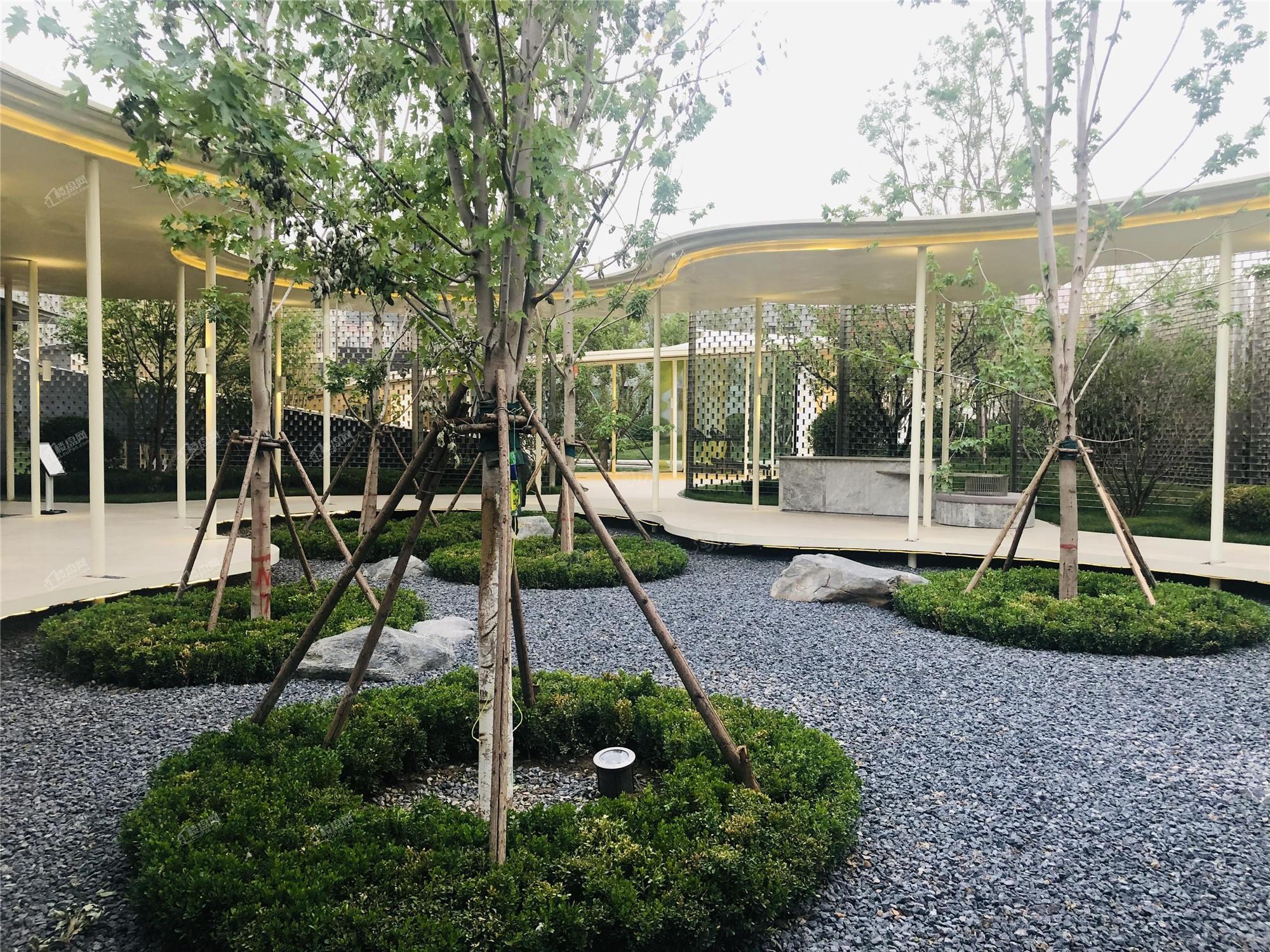 旭辉江山实景图