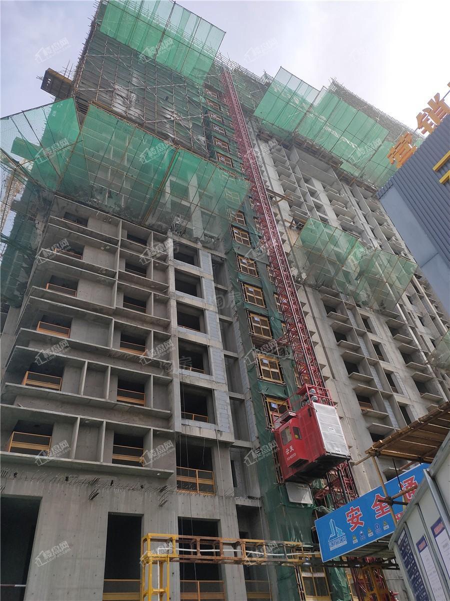 实景图