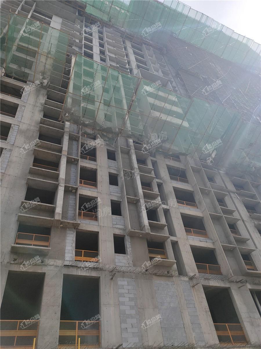 元福绿都实景图