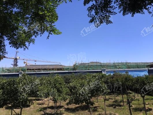 绿城·御河上院实景图