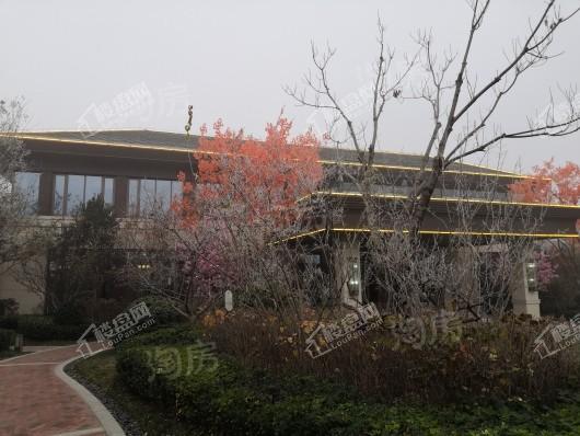 绿城·御河上院实景图