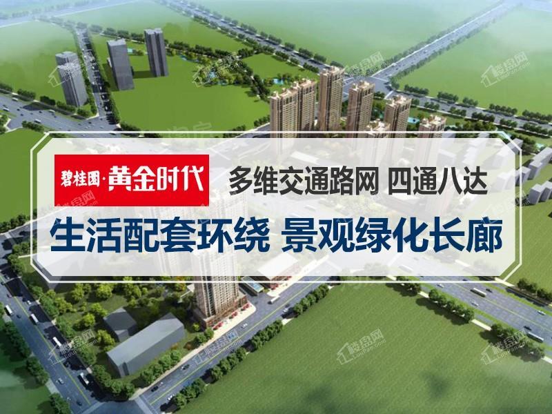 碧桂园黄金时代效果图