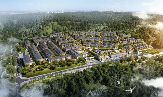 仁安南山院子效果图