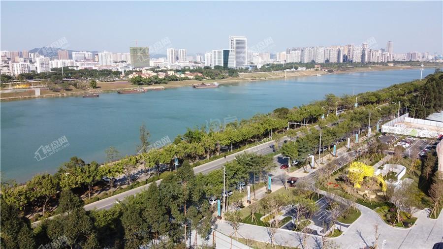 中南春风南岸实景图