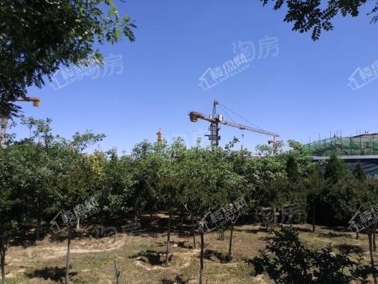 绿城·御河上院实景图