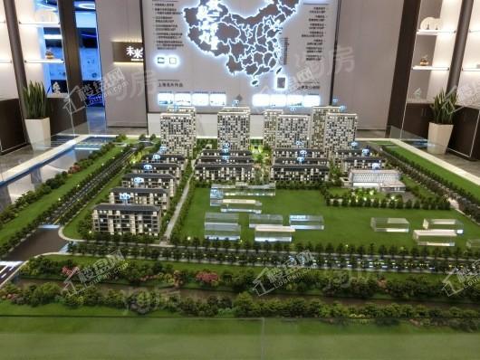 南桥金茂悦实景图