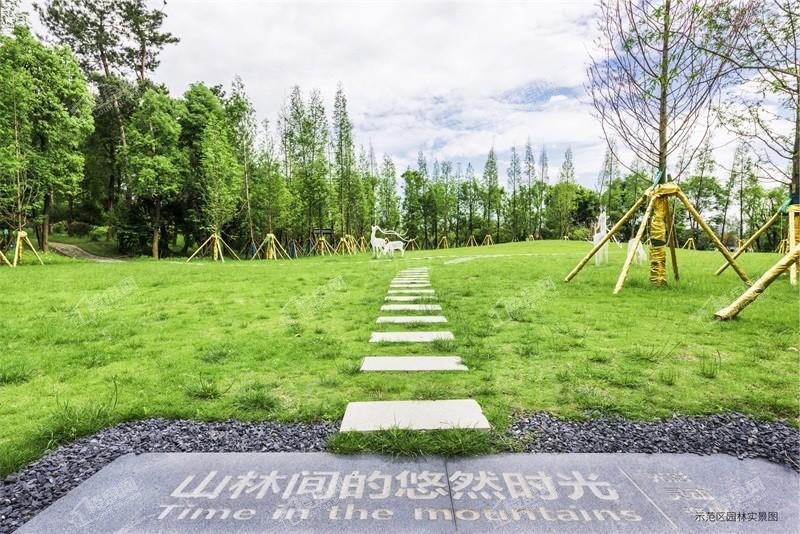 云城中心实景图