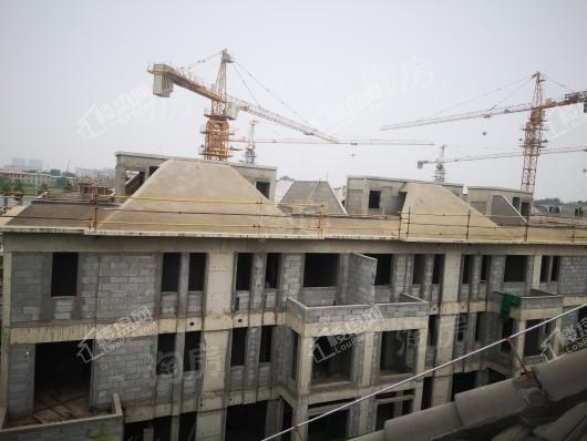 金辉中央云著实景图