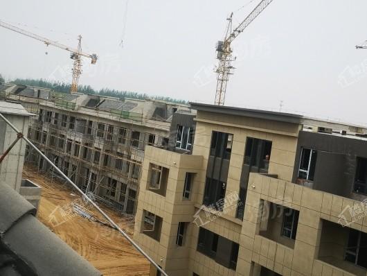 金辉中央云著实景图