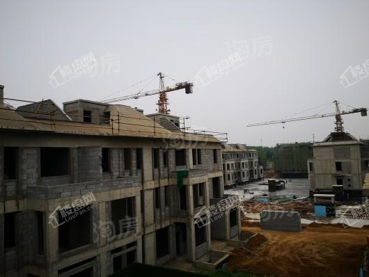 金辉中央云著实景图