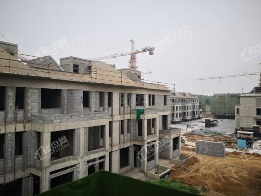 金辉中央云著实景图