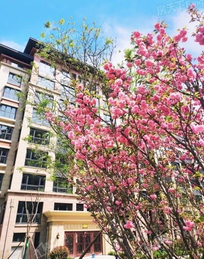 天功颂园实景图