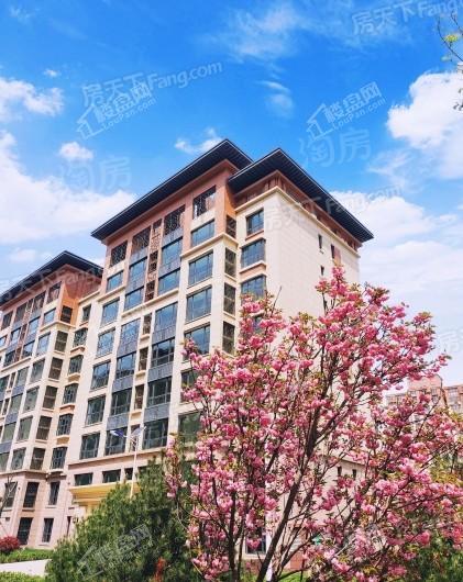 天功颂园实景图