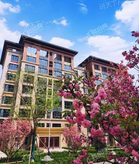 天功颂园实景图