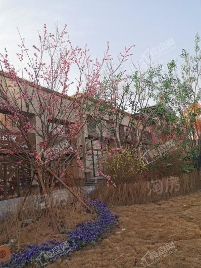 呼和浩特碧桂园实景图