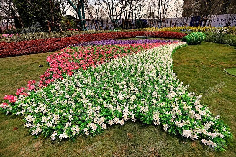 恒大滨江左岸实景图