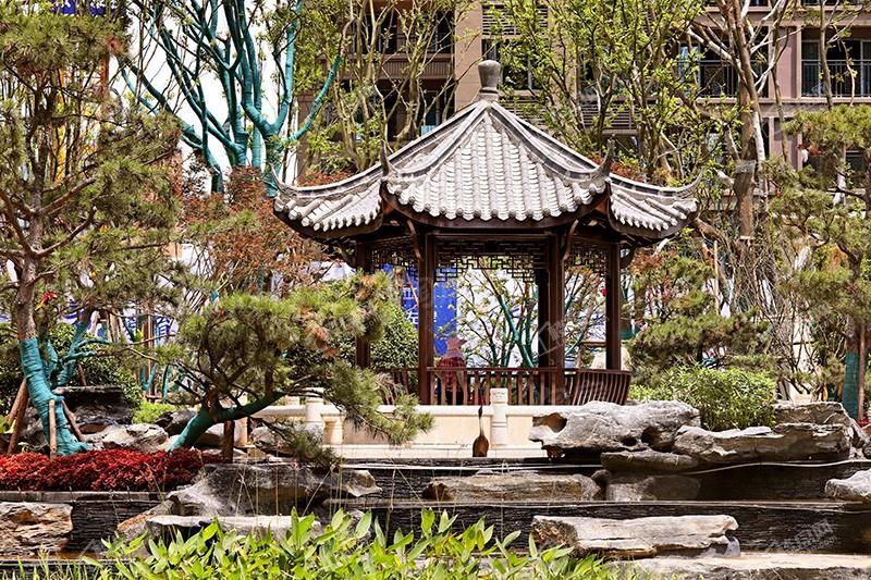 恒大滨江左岸实景图