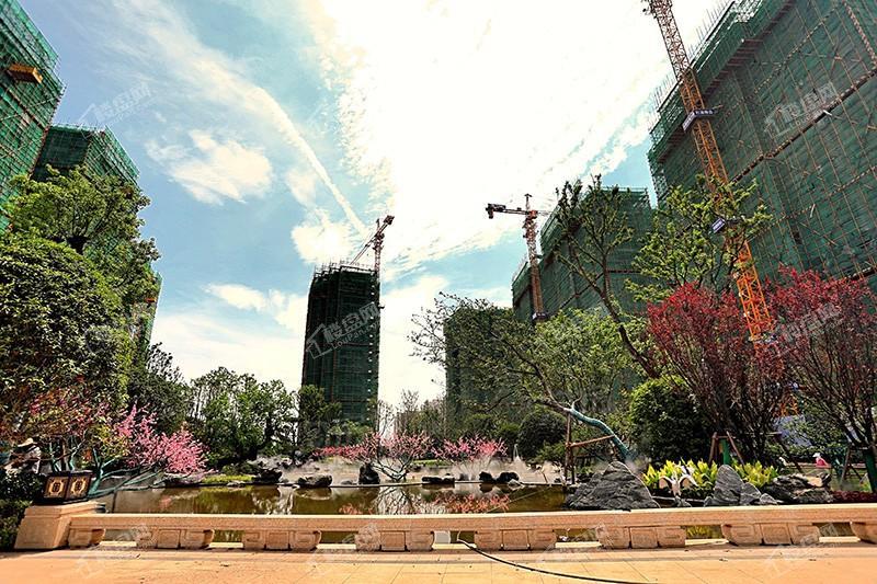 恒大滨江左岸实景图