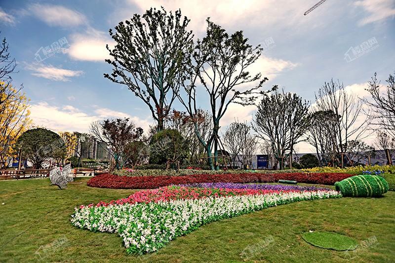 恒大滨江左岸实景图