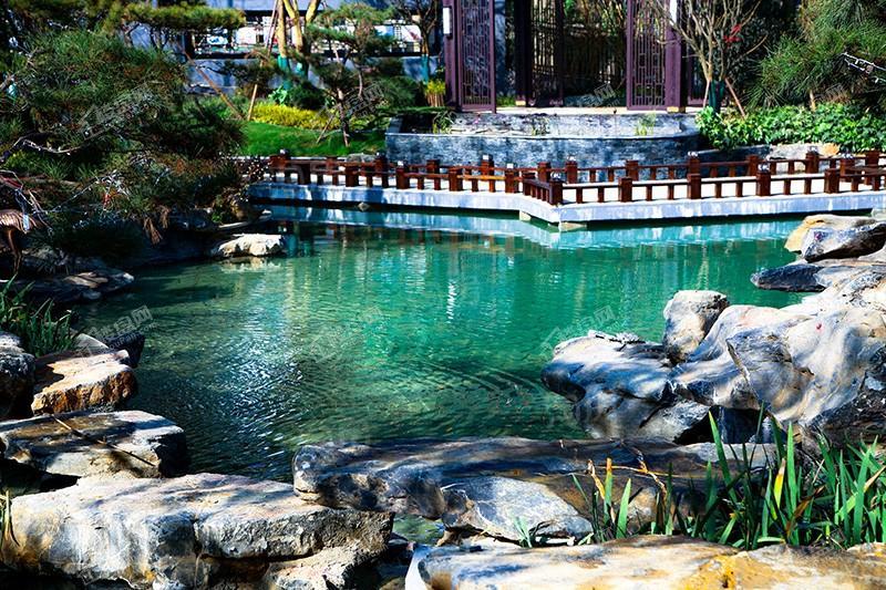 恒大滨江左岸实景图