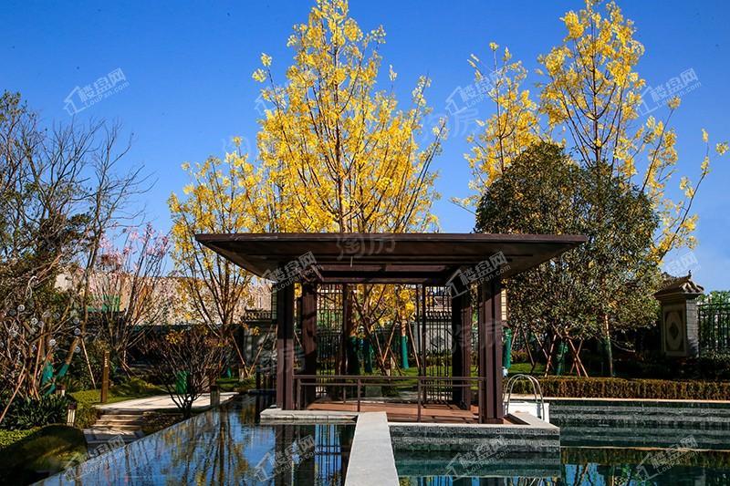 恒大滨江左岸实景图