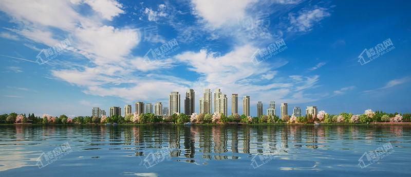 恒大滨江左岸效果图