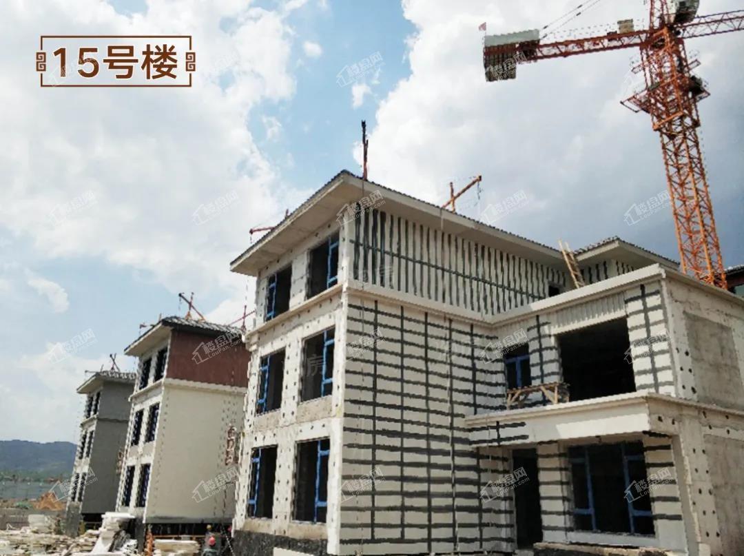 龙投·远洋·晋春秋实景图