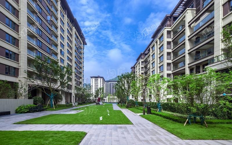 旭辉江山青林半实景图