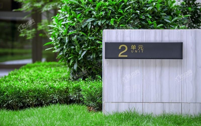 旭辉江山青林半实景图