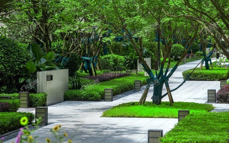 旭辉江山青林半实景图