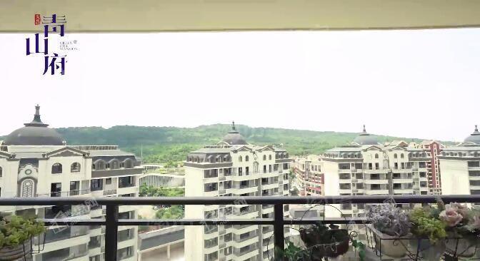 天昌青山府实景图