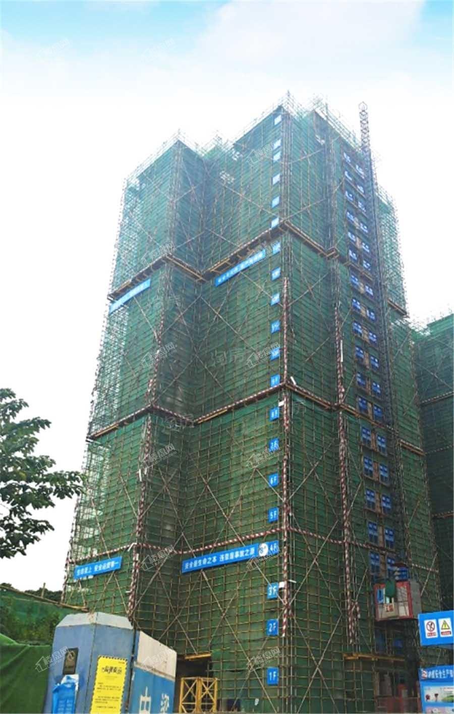 中梁国宾熙岸实景图