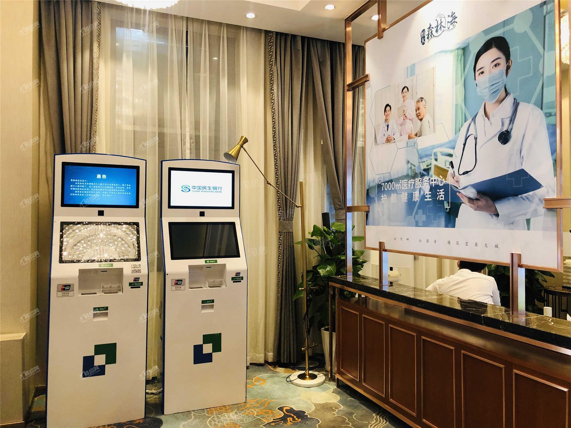 恒大森林海实景图