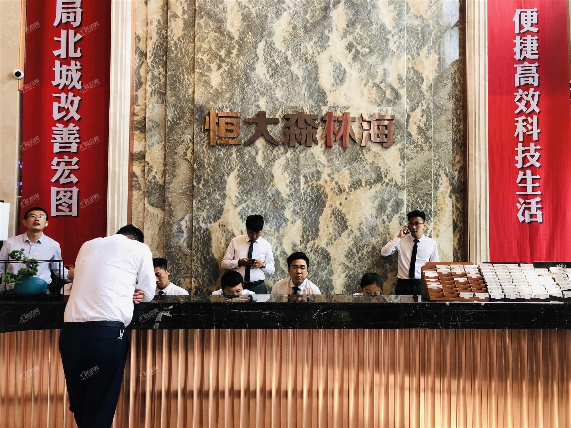 恒大森林海实景图