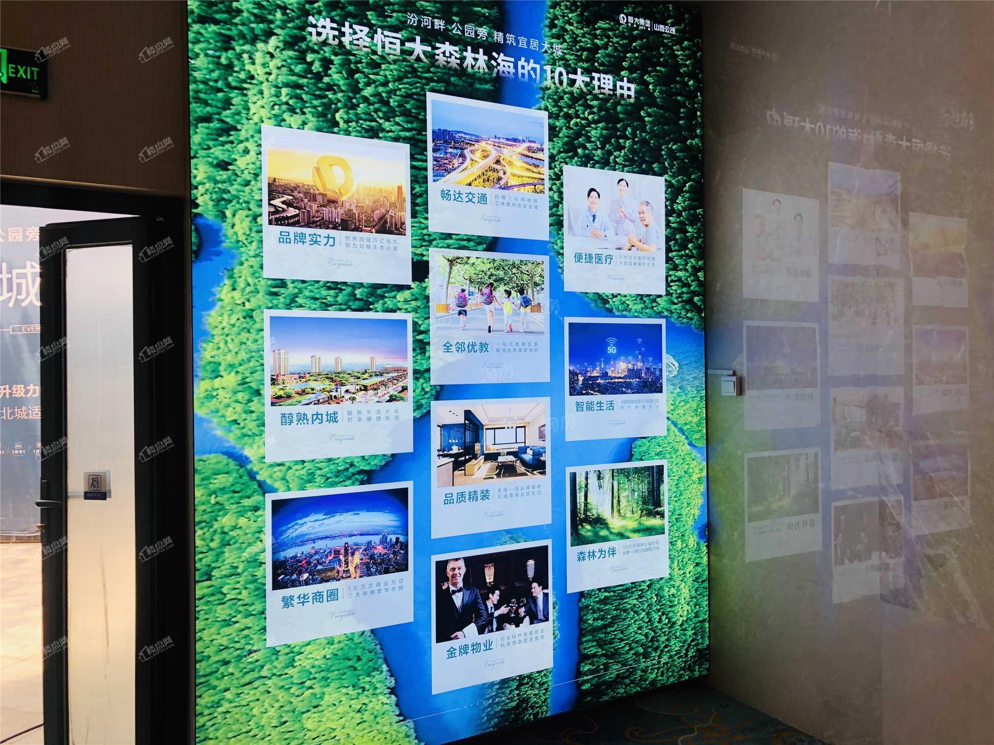 恒大森林海实景图