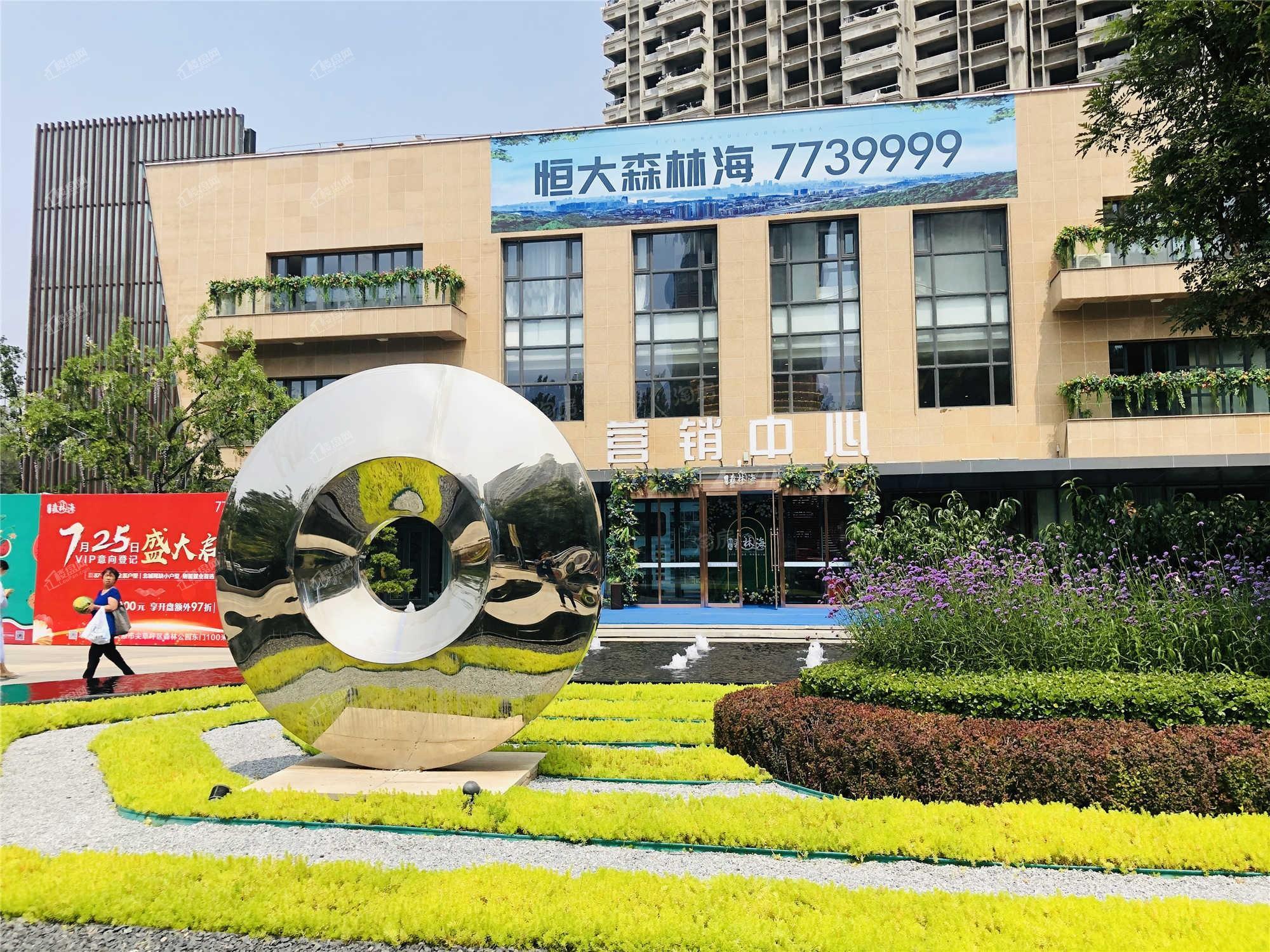 恒大森林海实景图