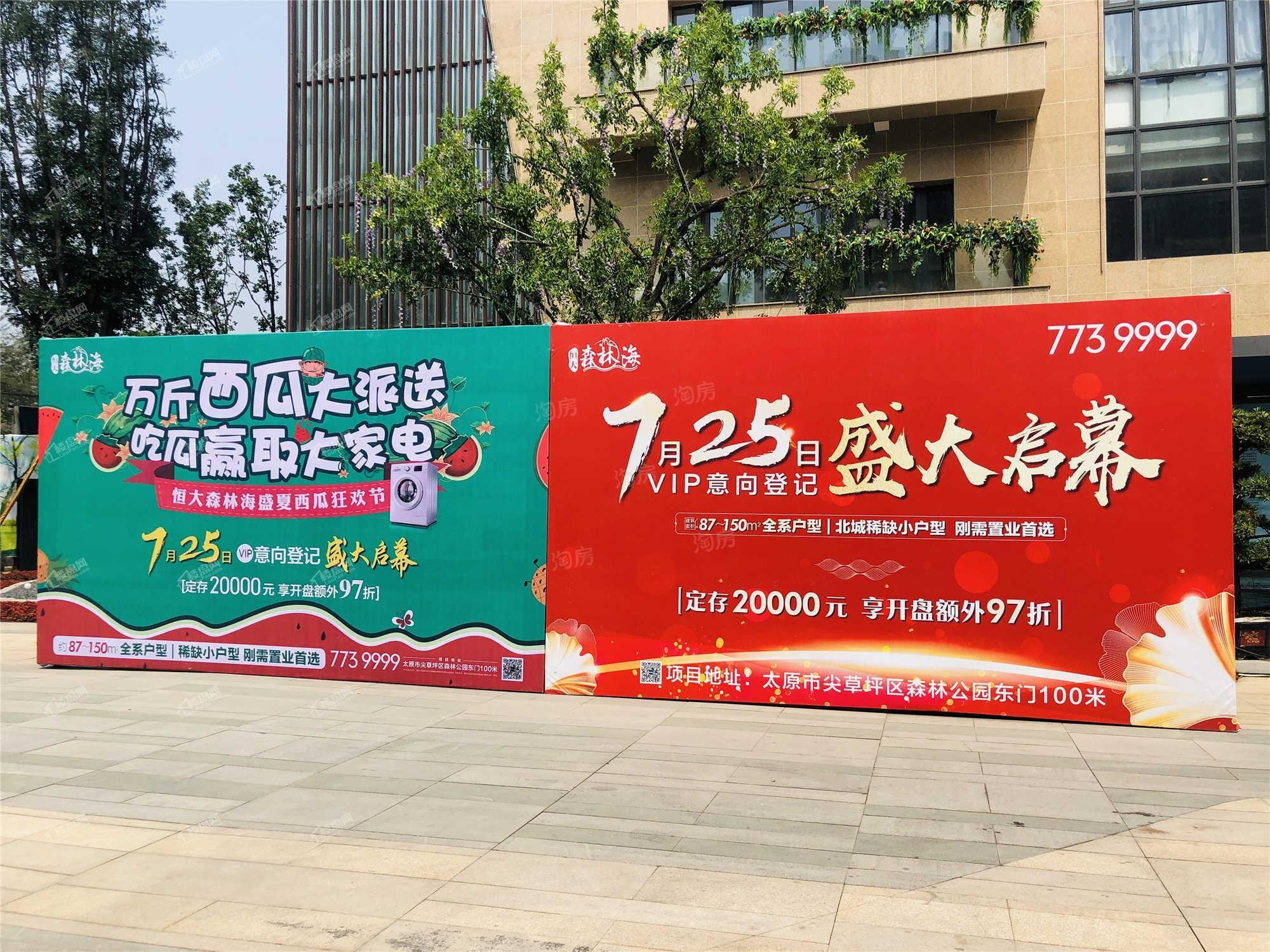 恒大森林海实景图