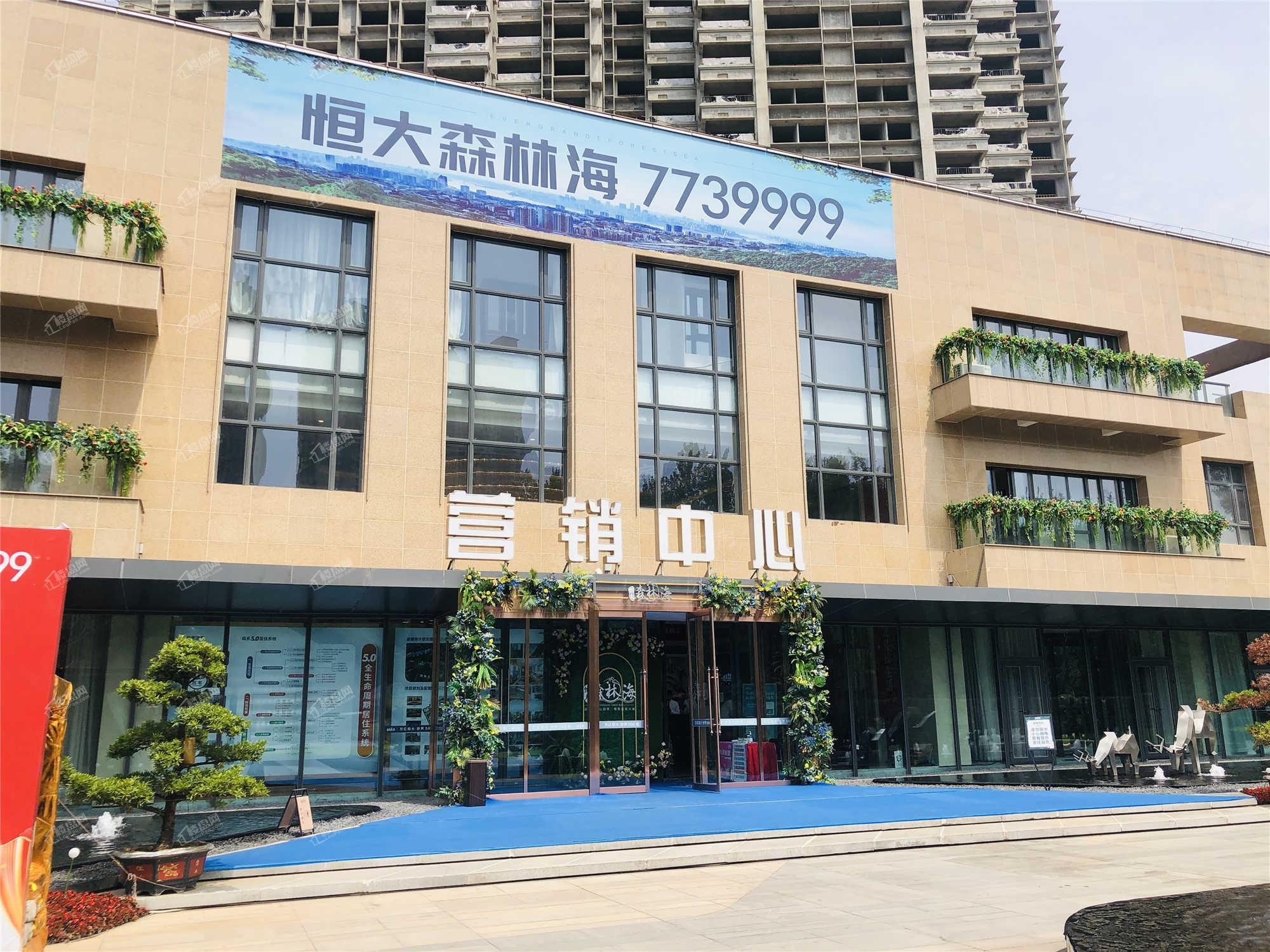 恒大森林海实景图