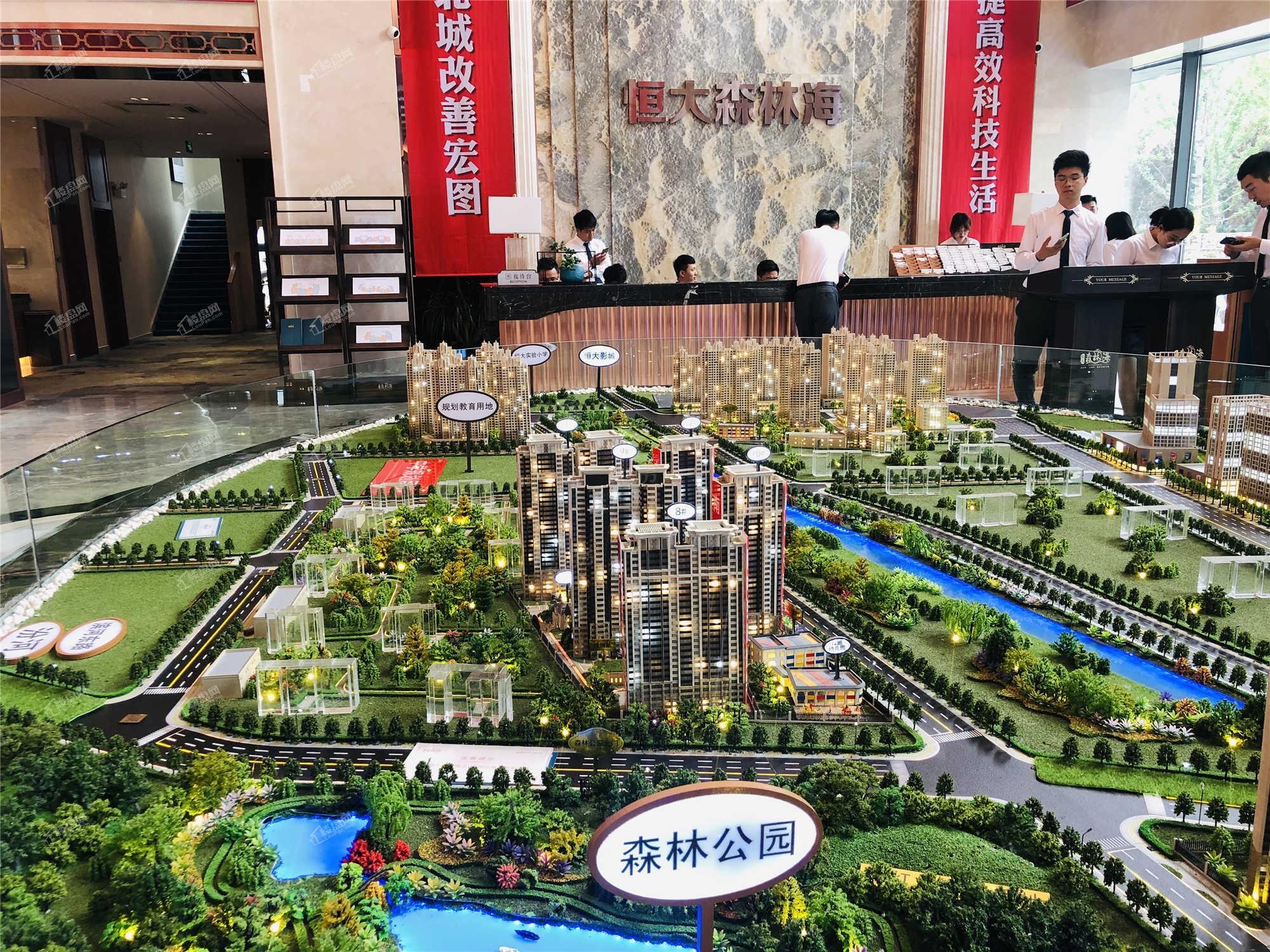 恒大森林海实景图