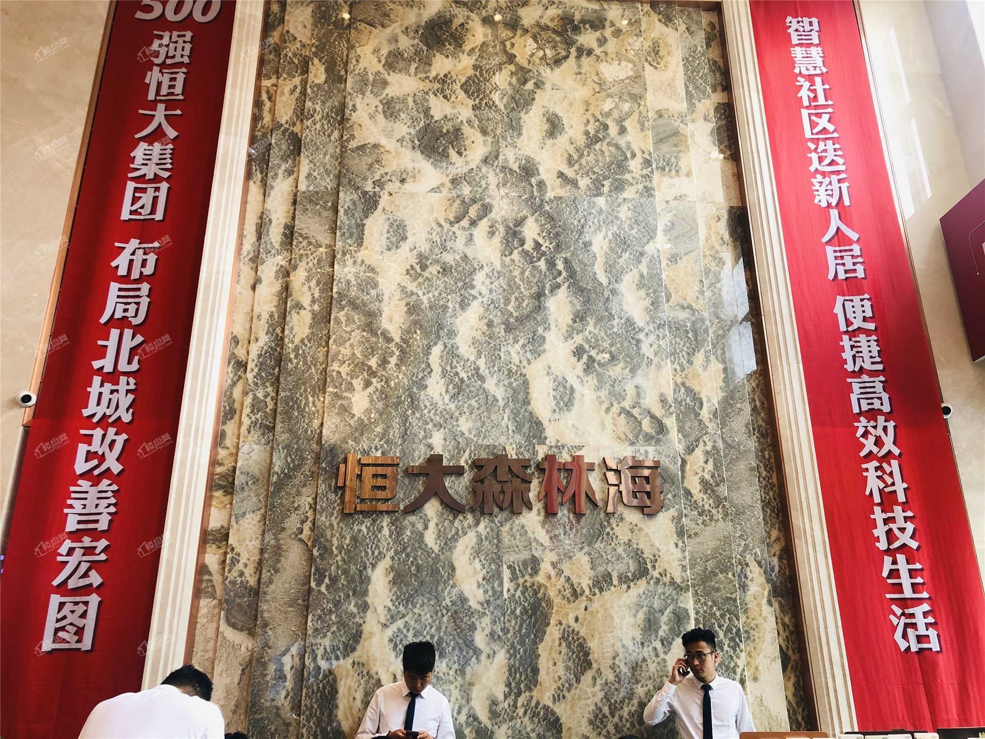 恒大森林海实景图