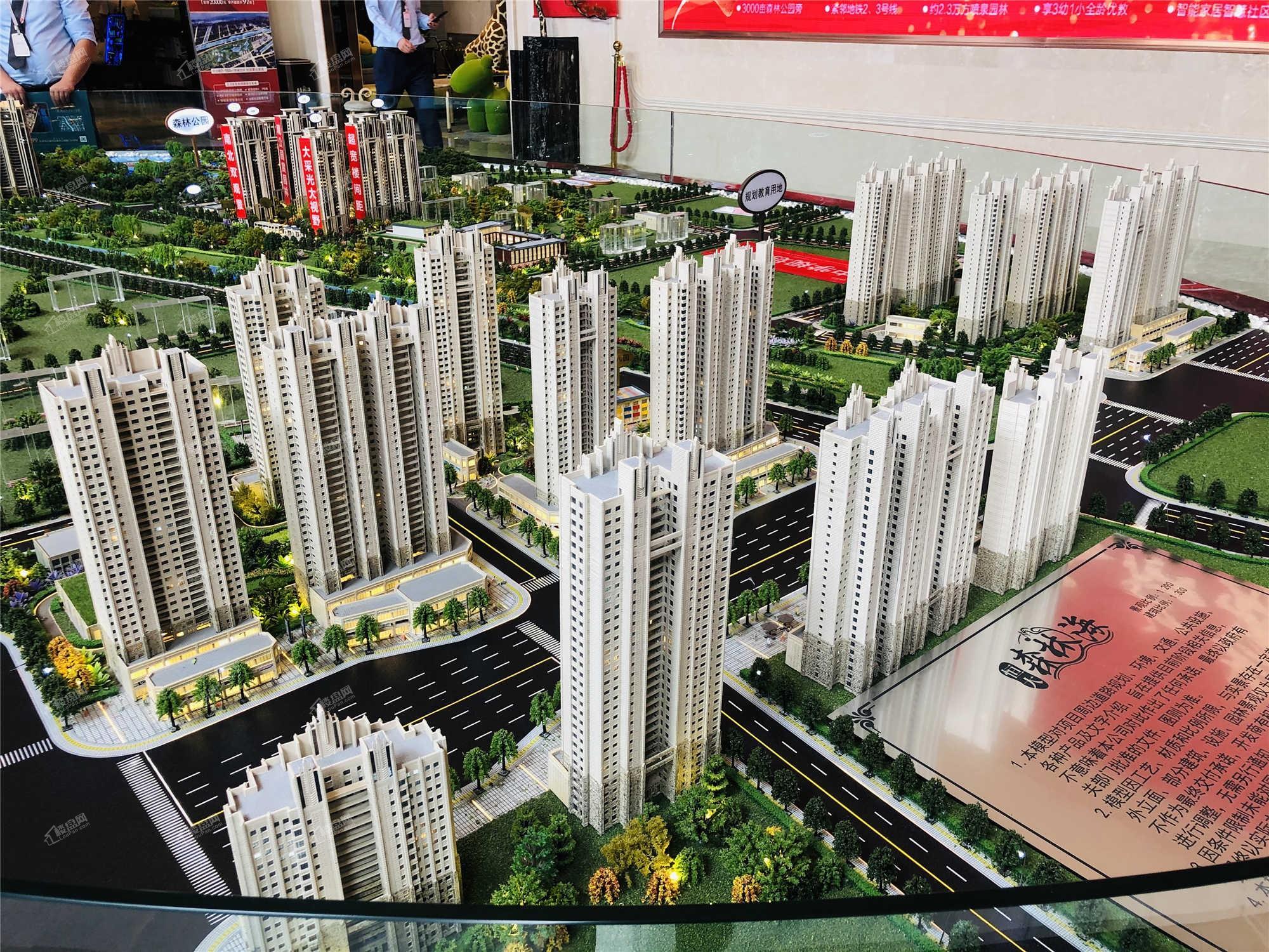 恒大森林海实景图