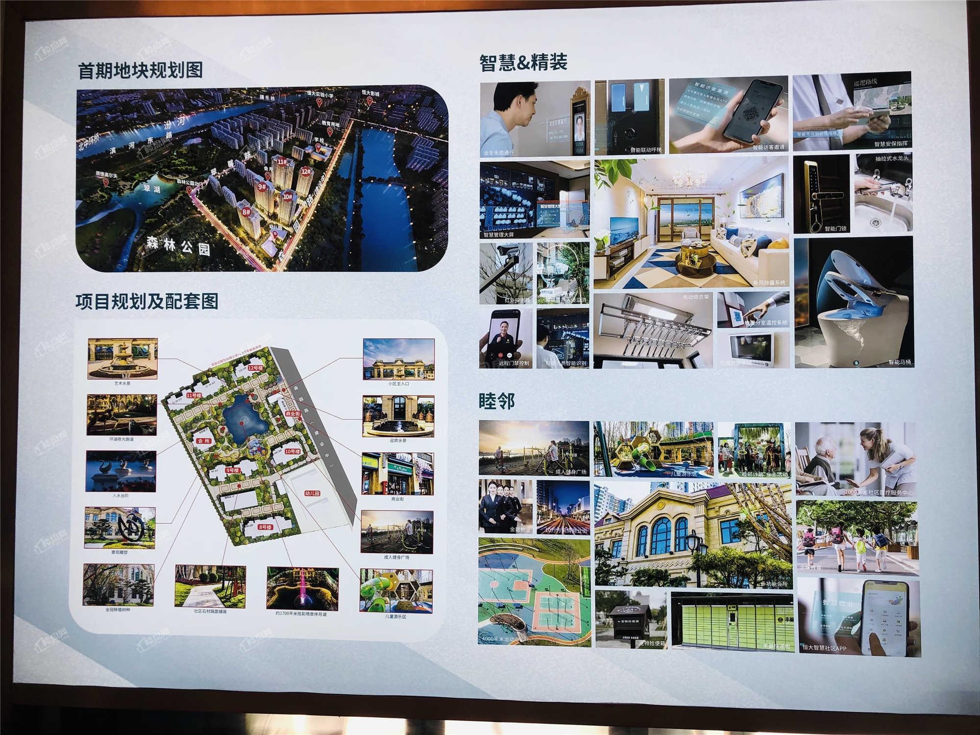 恒大森林海实景图